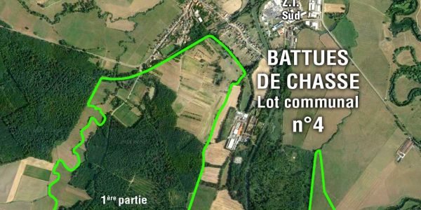 Battues de chasse - Lot N°4