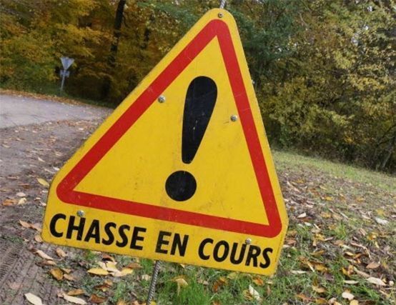 Battues de chasse - Lot Haras S.I.H. Battues de chasse - Lot Haras S.I.H.