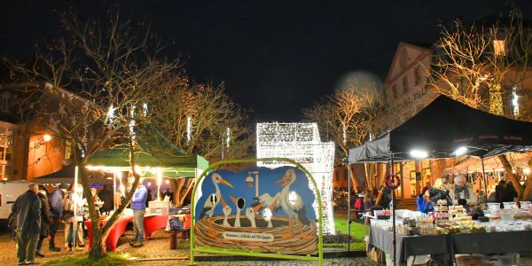 C’est qui le patron… des écoliers ?