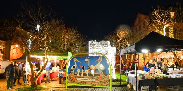 C’est qui le patron… des écoliers ?