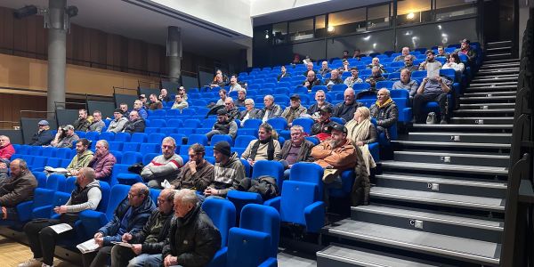 Vente aux enchères de bois de chauffage