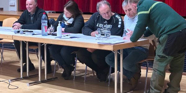 Vente aux enchères de bois de chauffage