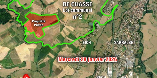 ATTENTION BATTUE DE CHASSE - LOT N°2