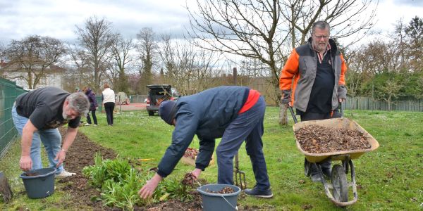 L’Association Arboricole et Horticole de Sarralbe lance la saison 2026
