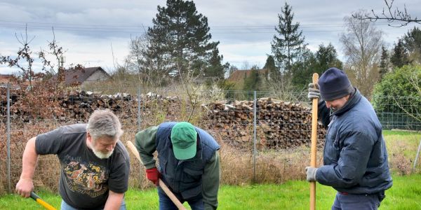 L’Association Arboricole et Horticole de Sarralbe lance la saison 2026