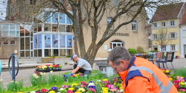 SARRALBE FAIT GRANDIR LA SOLIDARITÉ !!!
