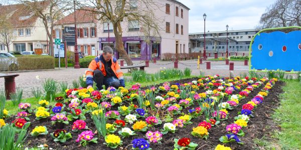SARRALBE FAIT GRANDIR LA SOLIDARITÉ !!!
