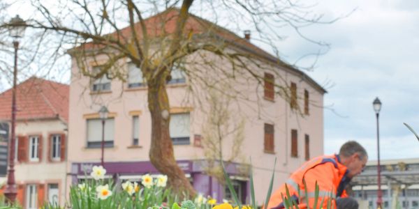 SARRALBE FAIT GRANDIR LA SOLIDARITÉ !!!