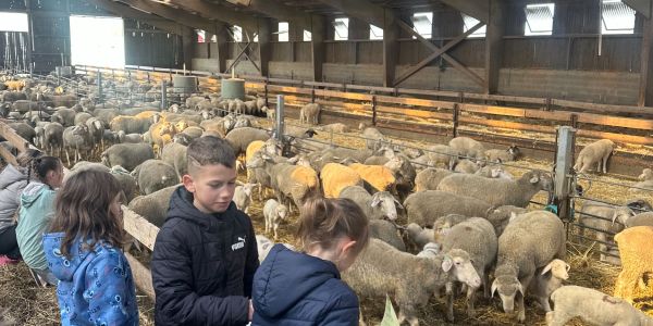 UNE JOURNÉE AU COEUR DE LA FERME POUR LES ENFANTS DES ÉCOLES DE RECH