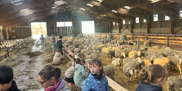 UNE JOURNÉE AU COEUR DE LA FERME POUR LES ENFANTS DES ÉCOLES DE RECH