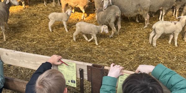 UNE JOURNÉE AU COEUR DE LA FERME POUR LES ENFANTS DES ÉCOLES DE RECH