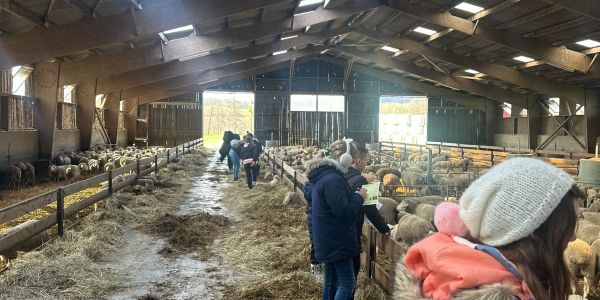 UNE JOURNÉE AU COEUR DE LA FERME POUR LES ENFANTS DES ÉCOLES DE RECH