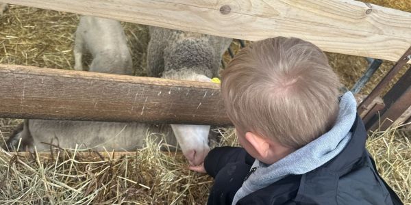 UNE JOURNÉE AU COEUR DE LA FERME POUR LES ENFANTS DES ÉCOLES DE RECH