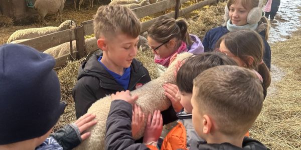 UNE JOURNÉE AU COEUR DE LA FERME POUR LES ENFANTS DES ÉCOLES DE RECH