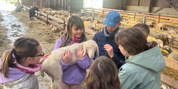 UNE JOURNÉE AU COEUR DE LA FERME POUR LES ENFANTS DES ÉCOLES DE RECH