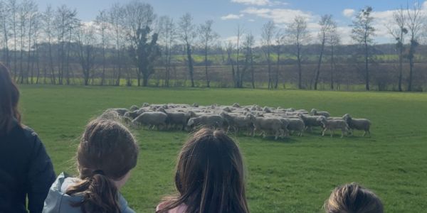 UNE JOURNÉE AU COEUR DE LA FERME POUR LES ENFANTS DES ÉCOLES DE RECH