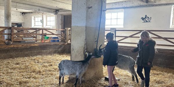 UNE JOURNÉE AU COEUR DE LA FERME POUR LES ENFANTS DES ÉCOLES DE RECH
