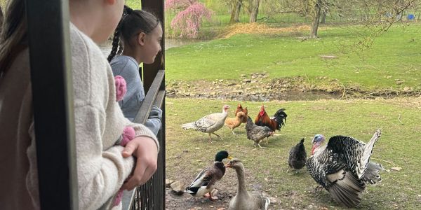 UNE JOURNÉE AU COEUR DE LA FERME POUR LES ENFANTS DES ÉCOLES DE RECH