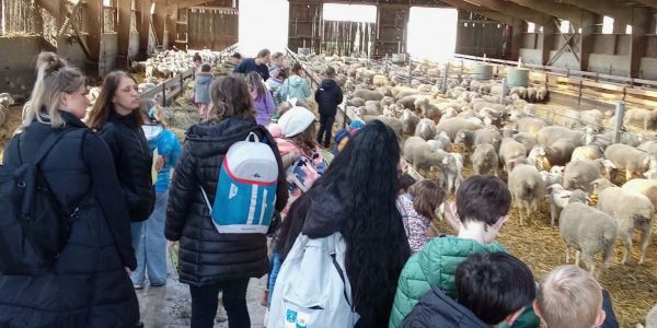 UNE JOURNÉE AU COEUR DE LA FERME POUR LES ENFANTS DES ÉCOLES DE RECH