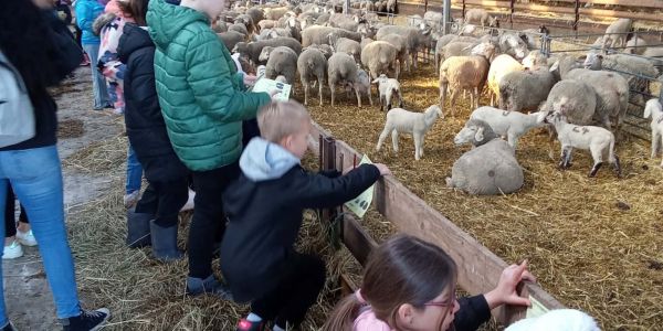 UNE JOURNÉE AU COEUR DE LA FERME POUR LES ENFANTS DES ÉCOLES DE RECH