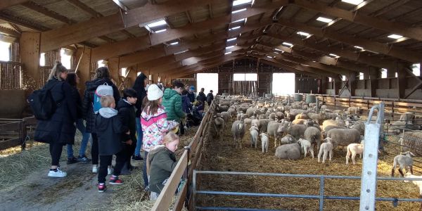 UNE JOURNÉE AU COEUR DE LA FERME POUR LES ENFANTS DES ÉCOLES DE RECH