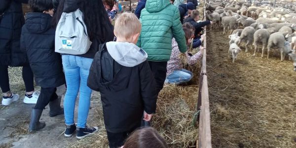 UNE JOURNÉE AU COEUR DE LA FERME POUR LES ENFANTS DES ÉCOLES DE RECH