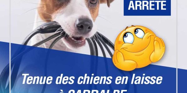 Tenue des chiens en laisse à Sarralbe