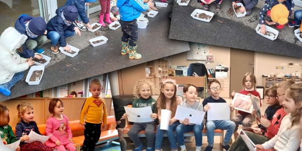 École maternelle de Rech - C’est quoi un oiseau ? École maternelle de Rech - C’est quoi un oiseau ?