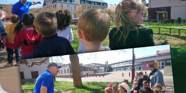 Les enfants découvrent les cigognes de la ville Les enfants découvrent les cigognes de la ville