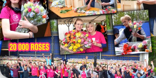 Une Rose Un Espoir secteur Sarralbe : Vendredi 29 avril dès 14 h, désépinage et emballage des roses Une Rose Un Espoir secteur Sarralbe : Vendredi 29 avril dès 14 h, désépinage et emballage des roses