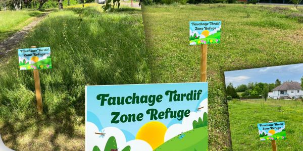 Fauchage tardif = nature préservée Fauchage tardif = nature préservée