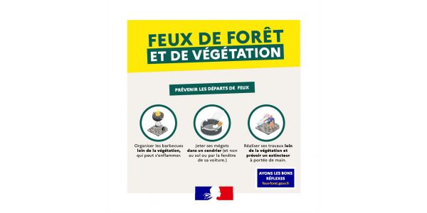 Feux de forêt et de végétation Feux de forêt et de végétation