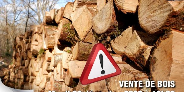 VENTE DE BOIS - FORET COMMUNALE DE SARRALBE VENTE DE BOIS - FORET COMMUNALE DE SARRALBE