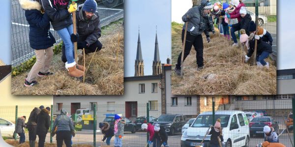 LES ÉCOLIERS ONT PLANTÉ UNE HAIE CHAMPÊTRE POUR LA BIODIVERSITÉ LES ÉCOLIERS ONT PLANTÉ UNE HAIE CHAMPÊTRE POUR LA BIODIVERSITÉ