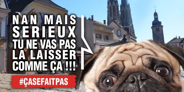 Plan d’attaque contre les crottes de chien Plan d’attaque contre les crottes de chien