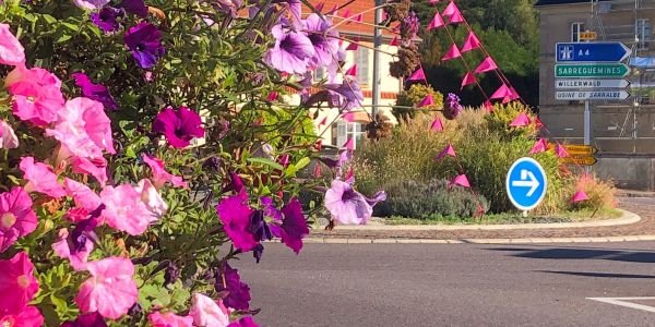 La ville de Sarralbe s'est colorée de tons rose/fuchsia !!! La ville de Sarralbe s'est colorée de tons rose/fuchsia !!!