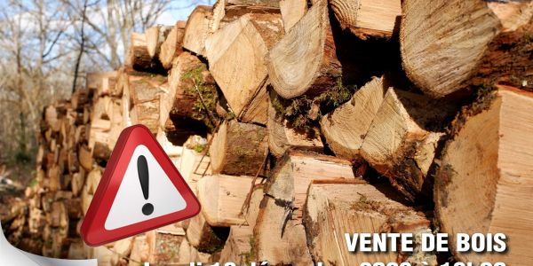 VENTE DE BOIS - FORET COMMUNALE DE SARRALBE VENTE DE BOIS - FORET COMMUNALE DE SARRALBE