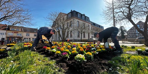 Sarralbe fait fleurir l’espoir Sarralbe fait fleurir l’espoir
