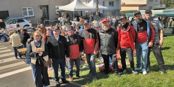 Les puces de Rech Les puces de Rech