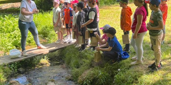Sortie culturelle à Eschviller pour les classes de CP, CE1 et CE2 du groupe scolaire Schuman Sortie culturelle à Eschviller pour les classes de CP, CE1 et CE2 du groupe scolaire Schuman