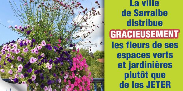 UNE SECONDE VIE DES PLANTES DES MASSIFS MUNICIPAUX UNE SECONDE VIE DES PLANTES DES MASSIFS MUNICIPAUX