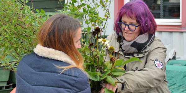 UNE NOUVELLE VIE POUR LES PLANTES DES ESPACES VERTS MUNICIPAUX