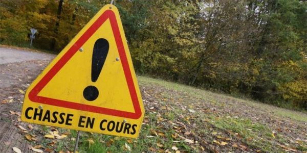 ATTENTION BATTUES DE CHASSE - Lot N°1 ATTENTION BATTUES DE CHASSE - Lot N°1
