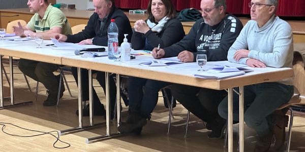 Vente aux enchères de bois de chauffage