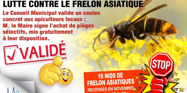 LUTTE CONTRE LE FRELON ASIATIQUE