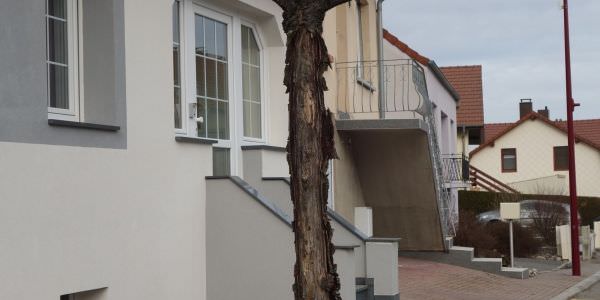 Plantation de nouveaux arbres dans la rue d’Eich