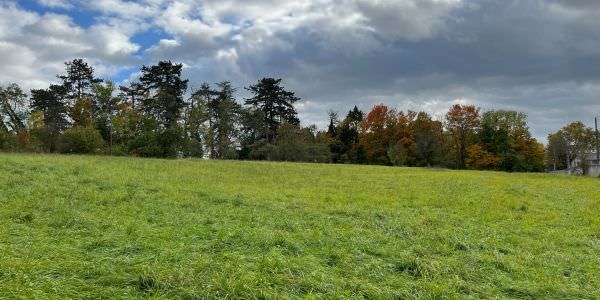 Le projet de mise en valeur des espaces situés entre la rue E. Solvay et la rue de l’Aht