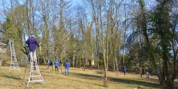 Futur parc municipal (en cours)