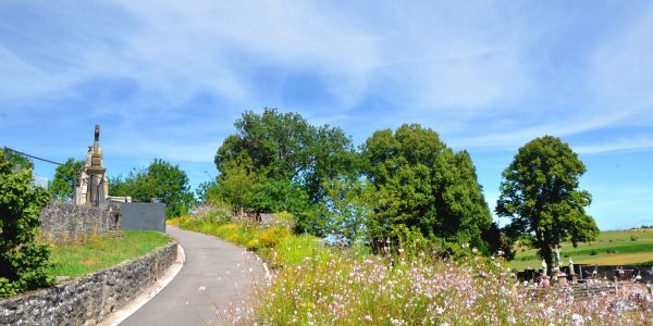 UN CIMETIÈRE PLUS VERT OÙ S’ENTREMÊLENT DOUCEUR ET SÉRÉNITÉ