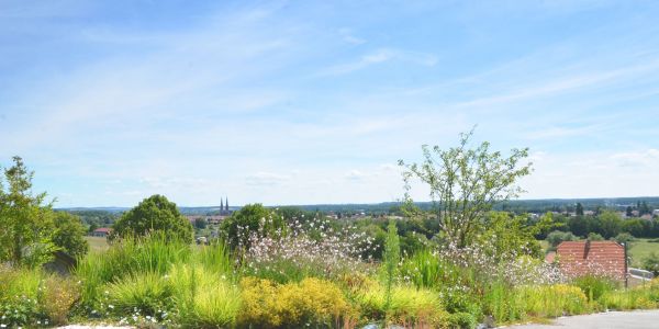 UN CIMETIÈRE PLUS VERT OÙ S’ENTREMÊLENT DOUCEUR ET SÉRÉNITÉ